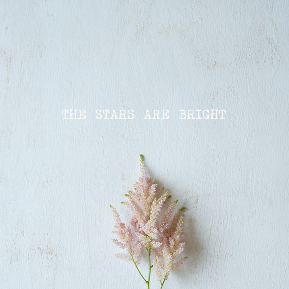 thestarsarebright