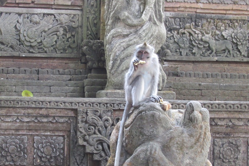 Ubud Monkey Sanctuary