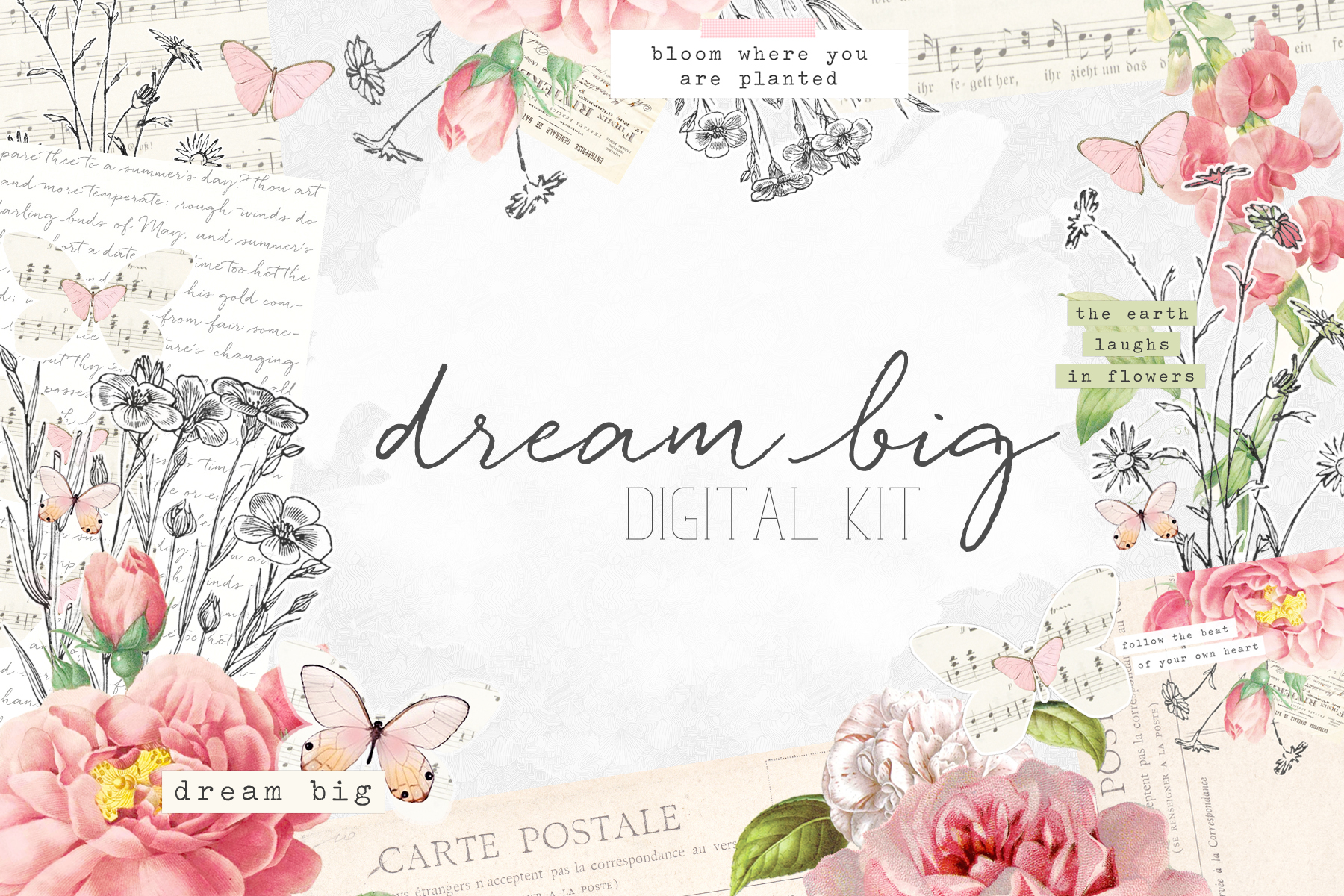 dream big digital collection
