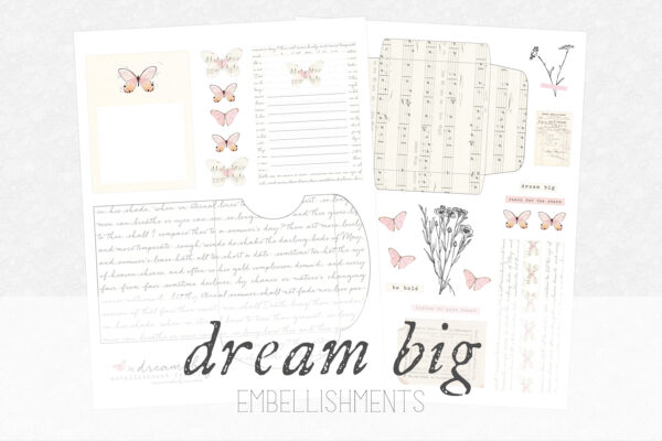 Dream Big Embellishments
