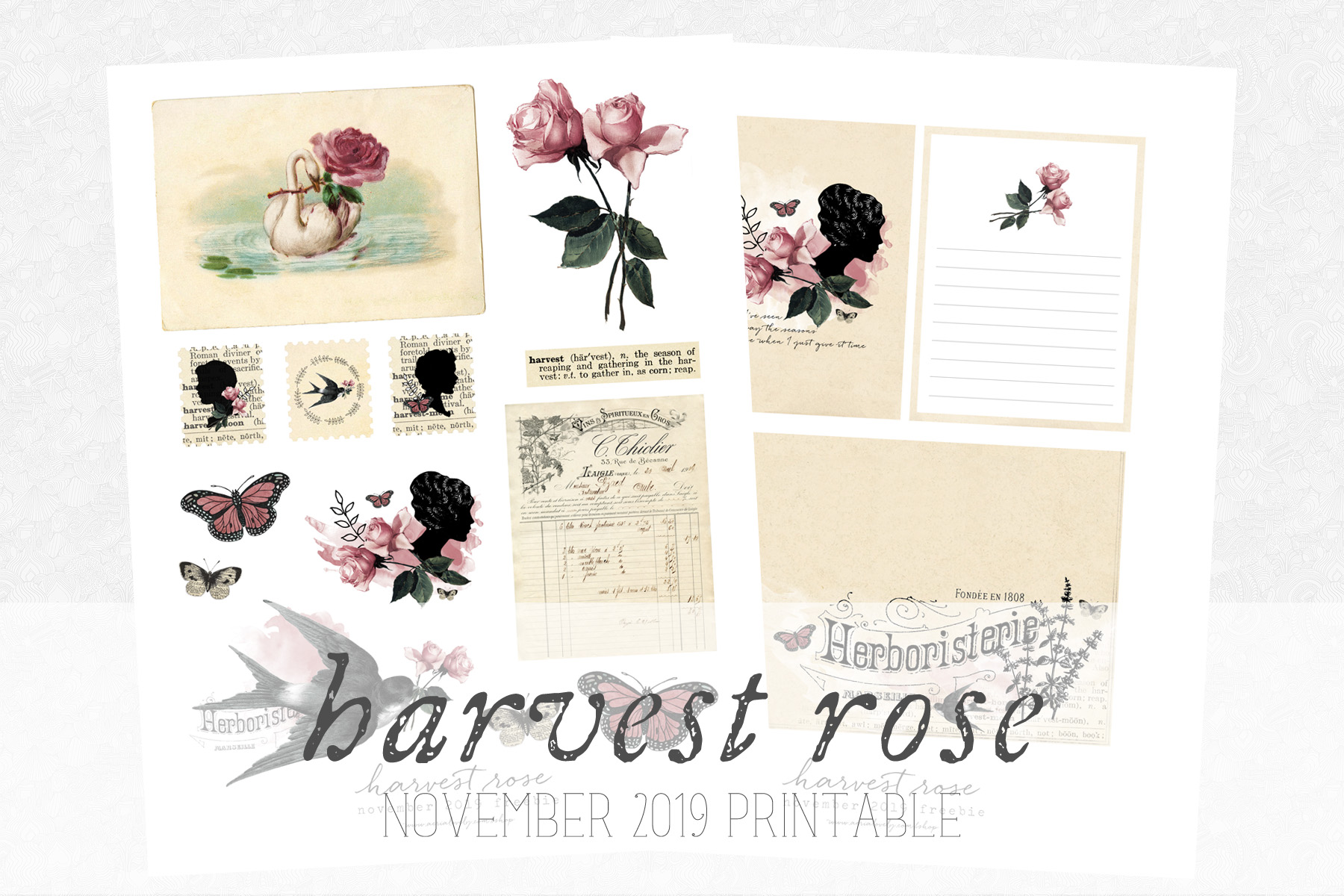 Harvest Rose