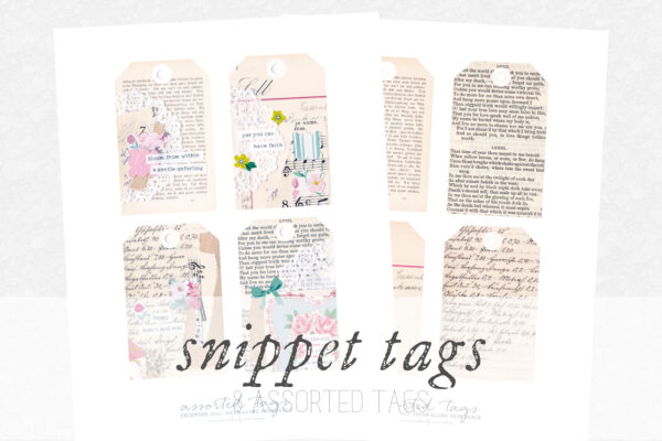 Snippet Tags